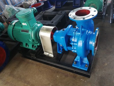 水蜜桃着色视频