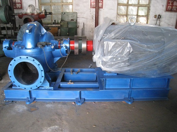 水蜜桃着色视频