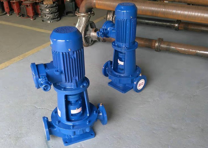 水蜜桃着色视频