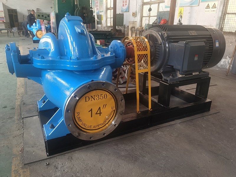 水蜜桃着色视频