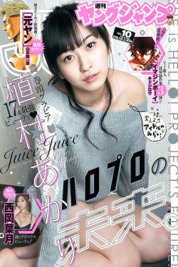 狂野小农民电视剧免费全集观看高清